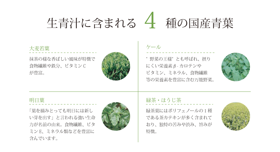 生青汁に含まれる4種の国産青葉