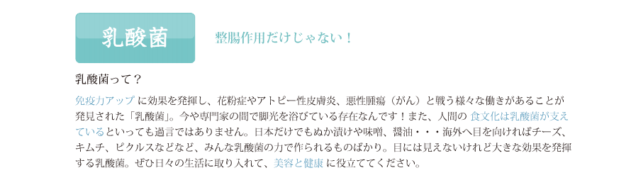 乳酸菌　整腸作用だけじゃない！